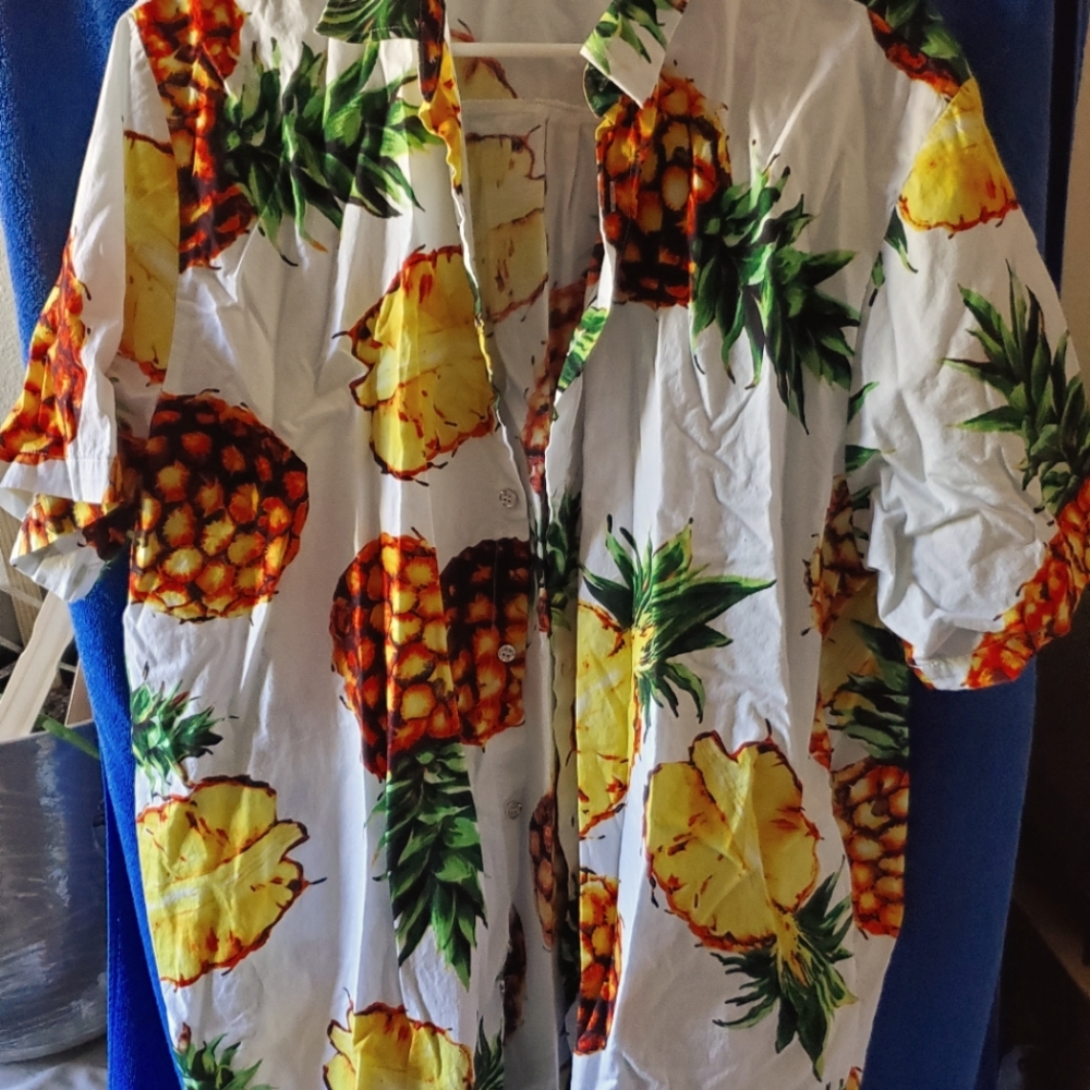 Sir 7 studio pineapple shirt